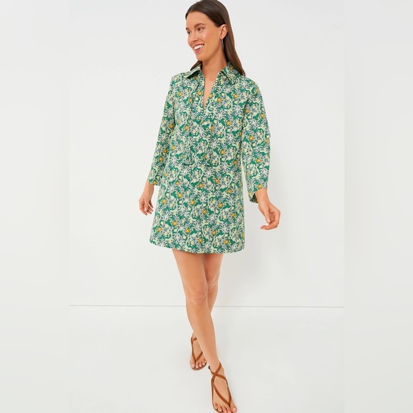 Tuckernuck Dresses & Skirts - Tuckernuck Hyacinth House Long Sleeve Green Carrington Collared Mini Dress XL